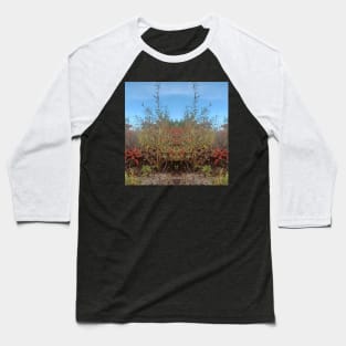 122M, Colorful Abstract Nature Zen Unique Original Contemporary Baseball T-Shirt